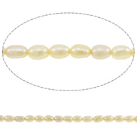 Rice Cultured Freshwater Pearl Beads, natural, pink, 3-4mm Approx 0.8mm Approx 15.7 Inch 