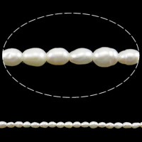 Perlas Arroz Freshwater, Perlas cultivadas de agua dulce, natural, Blanco, 2-3mm, agujero:aproximado 0.8mm, longitud:aproximado 15 Inch, Vendido por Sarta