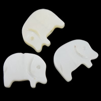Natürliche weiße Muschelperlen, Elephant, 11x9x2mm, Bohrung:ca. 1mm, verkauft von PC