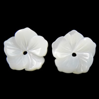 Natürliche weiße Muschelperlen, Blume, 10x2mm, Bohrung:ca. 1mm, verkauft von PC