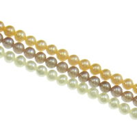 Round Cultured Freshwater Pearl Beads, natural Grade AAA, 3.5-4mm Approx 0.8mm Approx 15 Inch 