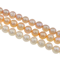 Perlas Redondas Freshwater, Perlas cultivadas de agua dulce, Esférico, natural, más colores para la opción, Grado AA, 10-11mm, agujero:aproximado 0.8mm, longitud:aproximado 15.7 Inch, Vendido por Sarta