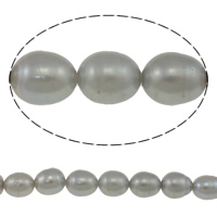 Perles d'eau douce de culture de riz, perle d'eau douce cultivée, naturel, gris, Niveau AA, 8-9mm Environ 0.8mm Environ 15 pouce, Vendu par brin