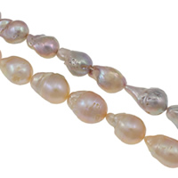 Freshwater Cultured Nucleated Pearl Beads, Cultured Freshwater Nucleated Pearl, Keshi, natural Grade AAA, 15-18mm Approx 0.8mm Approx 15.7 Inch 