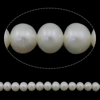 Perlas Patata Freshwater, Perlas cultivadas de agua dulce, natural, Blanco, Grado AAA, 6-7mm, agujero:aproximado 0.8mm, longitud:aproximado 15 Inch, Vendido por Sarta