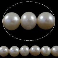 Perles de nacre rondes de culture d'eau douce, perle d'eau douce cultivée, naturel, blanc, grade A, 9-10mm Environ 0.8mm Environ 15.7 pouce, Vendu par brin