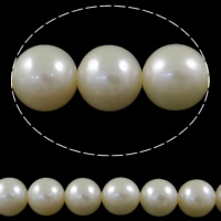 Round Cultured Freshwater Pearl Beads, natural, white, Grade AAAAA, 9-10mm Approx 0.8mm Approx 15.7 Inch 