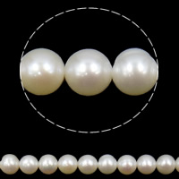 Perles de nacre rondes de culture d'eau douce, perle d'eau douce cultivée, naturel, plus de couleurs à choisir, grade A, 7-8mm Environ 0.8mm .5 , Vendu par brin