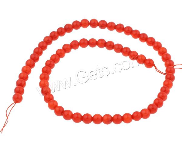 Perles en corail naturel, Rond, normes différentes pour le choix, rouge, Trou:Environ 1mm, Longueur:Environ 15.7 pouce, Vendu par brin