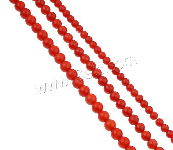 Perles en corail naturel, Rond, normes différentes pour le choix, rouge, Trou:Environ 1mm, Longueur:Environ 15.7 pouce, Vendu par brin