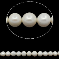 Perles de nacre rondes de culture d'eau douce, perle d'eau douce cultivée, naturel, blanc, grade A, 13-15mm Environ 0.8mm Environ 15.7 pouce, Vendu par brin