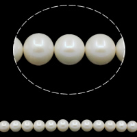 Round Cultured Freshwater Pearl Beads, natural, white, Grade AAA, 12-13mm Approx 0.8mm Approx 15.7 Inch 