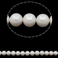 Round Cultured Freshwater Pearl Beads, natural, white, Grade A, 12-13mm Approx 0.8mm Approx 15.7 Inch 