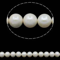 Round Cultured Freshwater Pearl Beads, natural, white, Grade A, 11-12mm Approx 0.8mm Approx 15.7 Inch 