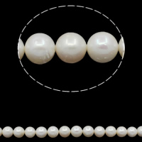 Round Cultured Freshwater Pearl Beads, natural, white, Grade A, 10-11mm Approx 0.8mm Approx 15.7 Inch 