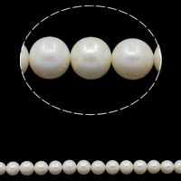 Round Cultured Freshwater Pearl Beads, natural, white, Grade A, 10-11mm Approx 0.8mm Approx 15.7 Inch 