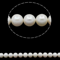 Round Cultured Freshwater Pearl Beads, natural, white, Grade AA, 9-10mm Approx 0.8mm Approx 15.7 Inch 