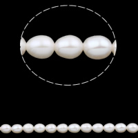 Perlas Arroz Freshwater, Perlas cultivadas de agua dulce, natural, Blanco, 4-5mm, agujero:aproximado 0.8mm, longitud:aproximado 15.3 Inch, Vendido por Sarta
