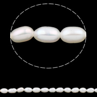 Perlas Arroz Freshwater, Perlas cultivadas de agua dulce, natural, Blanco, 3-4mm, agujero:aproximado 0.8mm, longitud:aproximado 15 Inch, Vendido por Sarta