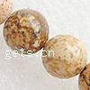 Picture Jasper Beads, Round & imported Inch 