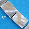 Seashell Beads, Natural Seashell, Rectangle, original color Approx 0.6mm Inch 