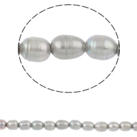 Perlas Arroz Freshwater, Perlas cultivadas de agua dulce, natural, gris, 10-11mm, agujero:aproximado 3mm, longitud:aproximado 14.5 Inch, Vendido por Sarta