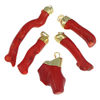 Natural Coral Pendants, with Brass, Nuggets, gold color plated, red, 13-27x40-79x10-14mm Approx 