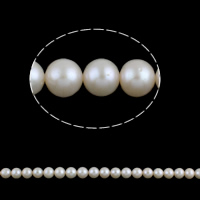 Perles de nacre rondes de culture d'eau douce, perle d'eau douce cultivée, naturel, blanc, Niveau AA, 10-11mm Environ 0.8mm .7 pouce, Vendu par brin
