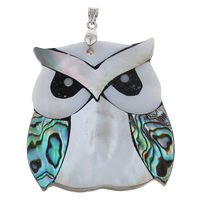Brass Shell Pendants, Freshwater Shell, with brass bail & Black Shell & Abalone Shell & Resin, Owl, platinum color plated Approx 