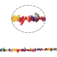 Dyed Shell Beads, Freshwater Shell, Chips, mixed colors, 5-13mm Approx 0.8mm Approx 30.7 Inch, Approx 