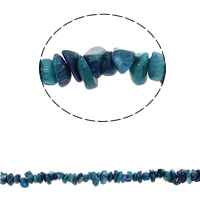 Чипы драгоценных камней, Gemstone фишки, Кусочки, голубой, 5-13mm, отверстие:Приблизительно 0.8mm, длина:Приблизительно 33 дюймовый, Приблизительно 260ПК/Strand, продается Strand