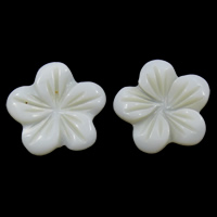 Белый кабошон оболочки, Белая ракушка, Форма цветка, плоской задней панелью продается PC