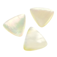 Yellow Shell Cabochon, Triangle, natural, epoxy gel & flat back 1.5-0.9mm Approx 18mm 