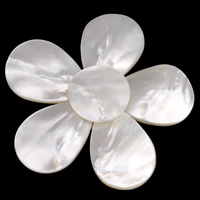 White Shell Cabochon, Flower, natural, flat back, 60- 