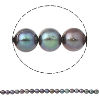 Perlas Patata Freshwater, Perlas cultivadas de agua dulce, Púrpura, 9-10mm, agujero:aproximado 0.8mm, longitud:aproximado 15.7 Inch, Vendido por Sarta