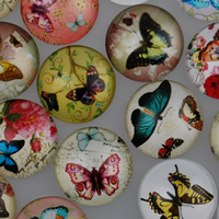Zeit Gem Cabochon, Glas, Schmetterlingsdesign & Zeit Edelstein Schmuck & flache Rückseite & gemischt & Aufkleber, 20x5.5mm, verkauft von PC