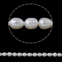 Perles d'eau douce de culture de riz, perle d'eau douce cultivée, naturel, blanc, 8-9mm Environ 0.8mm Environ 15.3 pouce, Vendu par brin