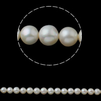 Perlas Patata Freshwater, Perlas cultivadas de agua dulce, natural, Blanco, 8-9mm, agujero:aproximado 0.8mm, longitud:aproximado 15 Inch, Vendido por Sarta