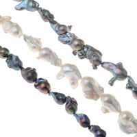 Freshwater Cultured Nucleated Pearl Beads, Cultured Freshwater Nucleated Pearl, Keshi, natural 18-30mm Approx 0.8mm Approx 15.3 Inch 