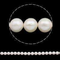 Perles de nacre rondes de culture d'eau douce, perle d'eau douce cultivée, naturel, blanc, Niveau AA, 11-12mm Environ 0.8mm pouce, Vendu par brin