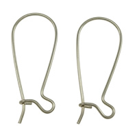 Stainless Steel Kidney Earwires, original color 