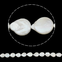Keshi Cultured Freshwater Pearl Beads, Coin, natural, white, 13-18mm Approx 0.8mm Inch 
