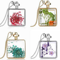 Floating Charm Necklace, Zinc Alloy, with Dried Flower & iron chain & Glass, Rectangle, plated, ball chain & faceted, nickel, lead & cadmium free Approx 23.5 Inch 