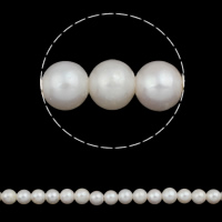 Round Cultured Freshwater Pearl Beads, natural, white, Grade A, 11-12mm Inch 