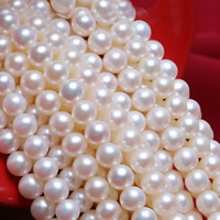 Perles de nacre rondes de culture d'eau douce, perle d'eau douce cultivée, naturel, blanc, 5.5-6mm Environ 0.8mm Environ 15.5 pouce, Vendu par brin