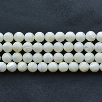 Trochus perles, Haut Coque, Rond, Placage, normes différentes pour le choix, blanc Environ 1mm Environ 15.5 pouce, Vendu par brin