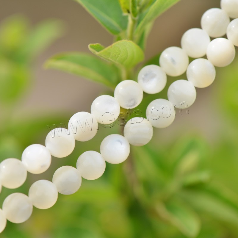 Natural Freshwater Shell Beads, Round, different size for choice, white, Hole:Approx 1mm, Length:Approx 15.5 Inch, Sold By Strand