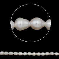 Perlas Arroz Freshwater, Perlas cultivadas de agua dulce, natural, Blanco, 10-11mm, agujero:aproximado 2.5mm, longitud:aproximado 15 Inch, Vendido por Sarta