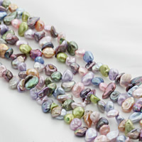 Keshi Cultured Freshwater Pearl Beads, multi-colored, 5mm Approx 0.8mm Approx 15 Inch 