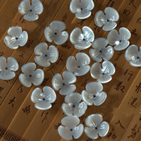Natürliche weiße Muschelperlen, Blume, 10mm, Bohrung:ca. 1mm, verkauft von PC